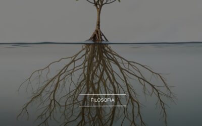 Las raíces filosóficas del wokismo