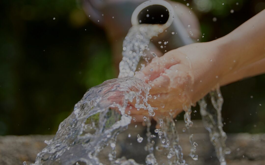 El problema de lo «gratis»: Por qué tratar a los pobres como clientes funciona mejor que la caridad